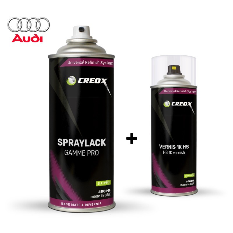 Kit bombe de peinture Audi et vernis