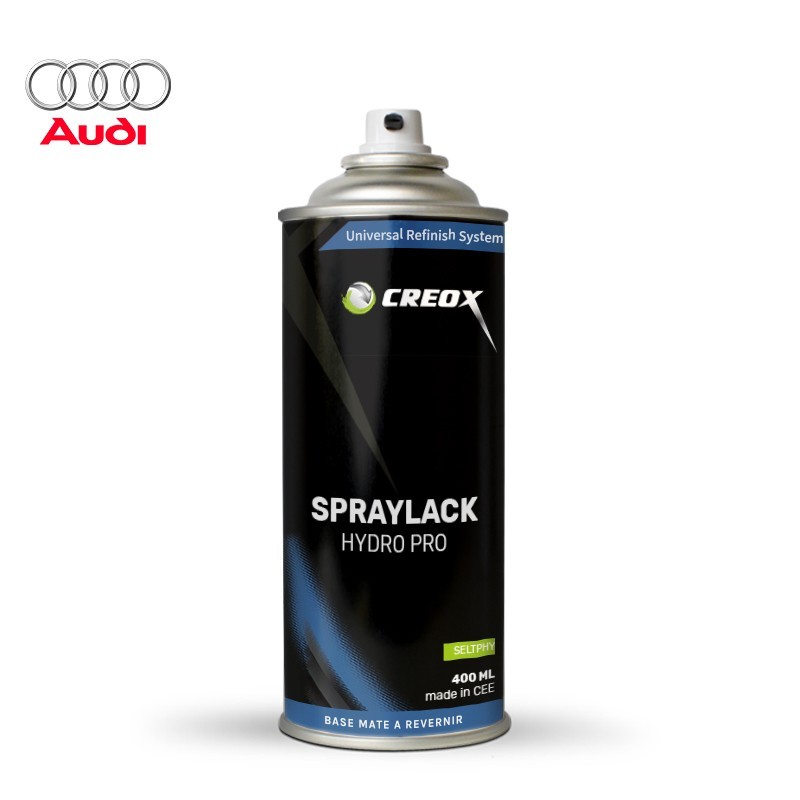 Bombe de peinture hydro Audi